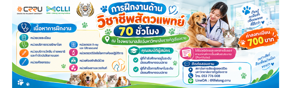 แบนเนอร์ประชาสัมพันธ์สถาบัน CLLI